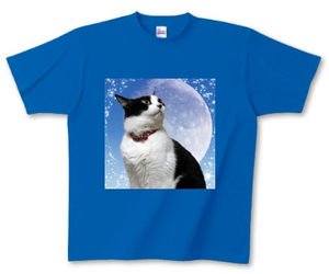 オリジナル猫Tシャツを販売