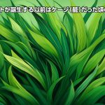 ネットが誕生する以前はケージ（籠）だった頃の話
