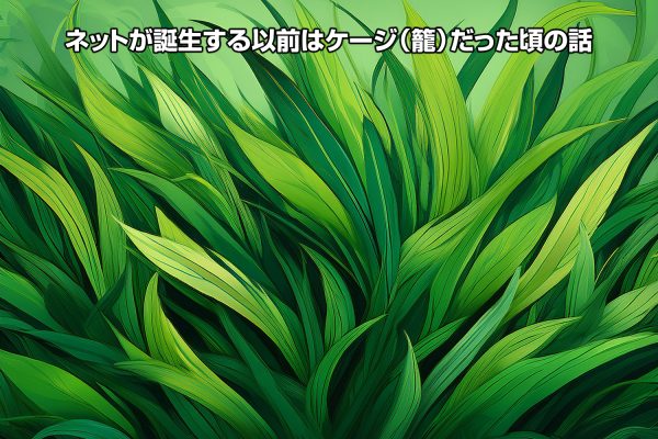 ネットが誕生する以前はケージ（籠）だった頃の話