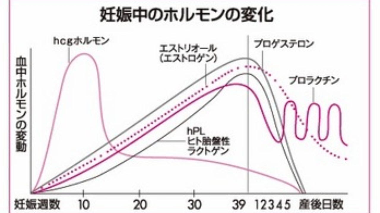 男女交際の必然 諌山裕の仕事部屋