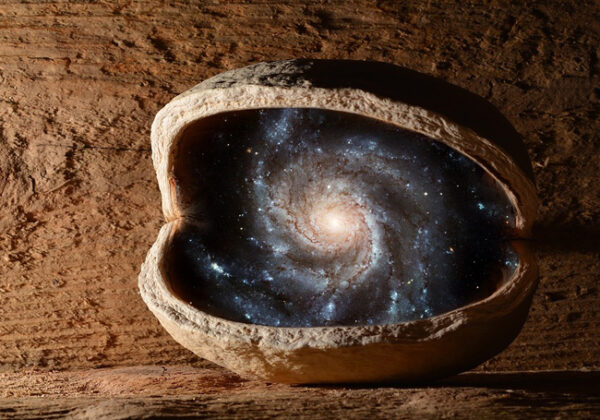 宇宙の種
