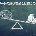 エリートの脳は普通とは違うのか？