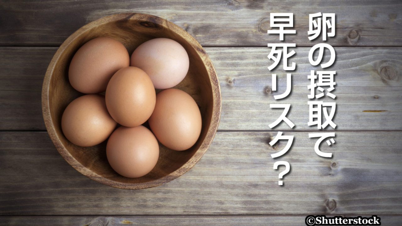 今度は卵の摂取で早死リスク 諌山裕の仕事部屋
