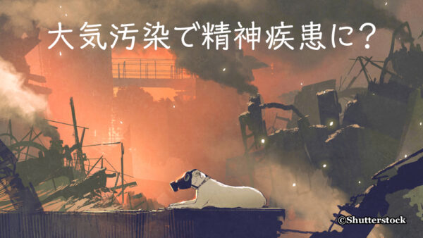 大気汚染で精神疾患に？