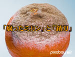 「腐ったミカン」と「錆刀」