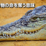 人が動物の命を奪う意味