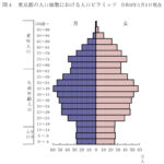 東京都の人口総数における人口ピラミッド