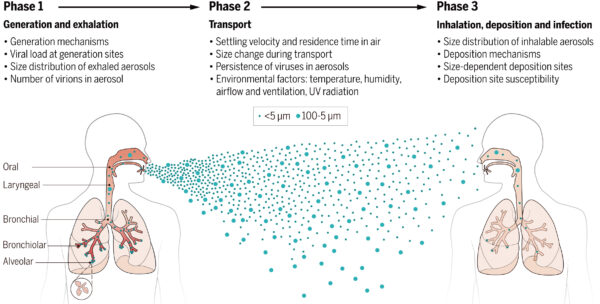 図1. 呼吸器系ウイルスの空気感染。