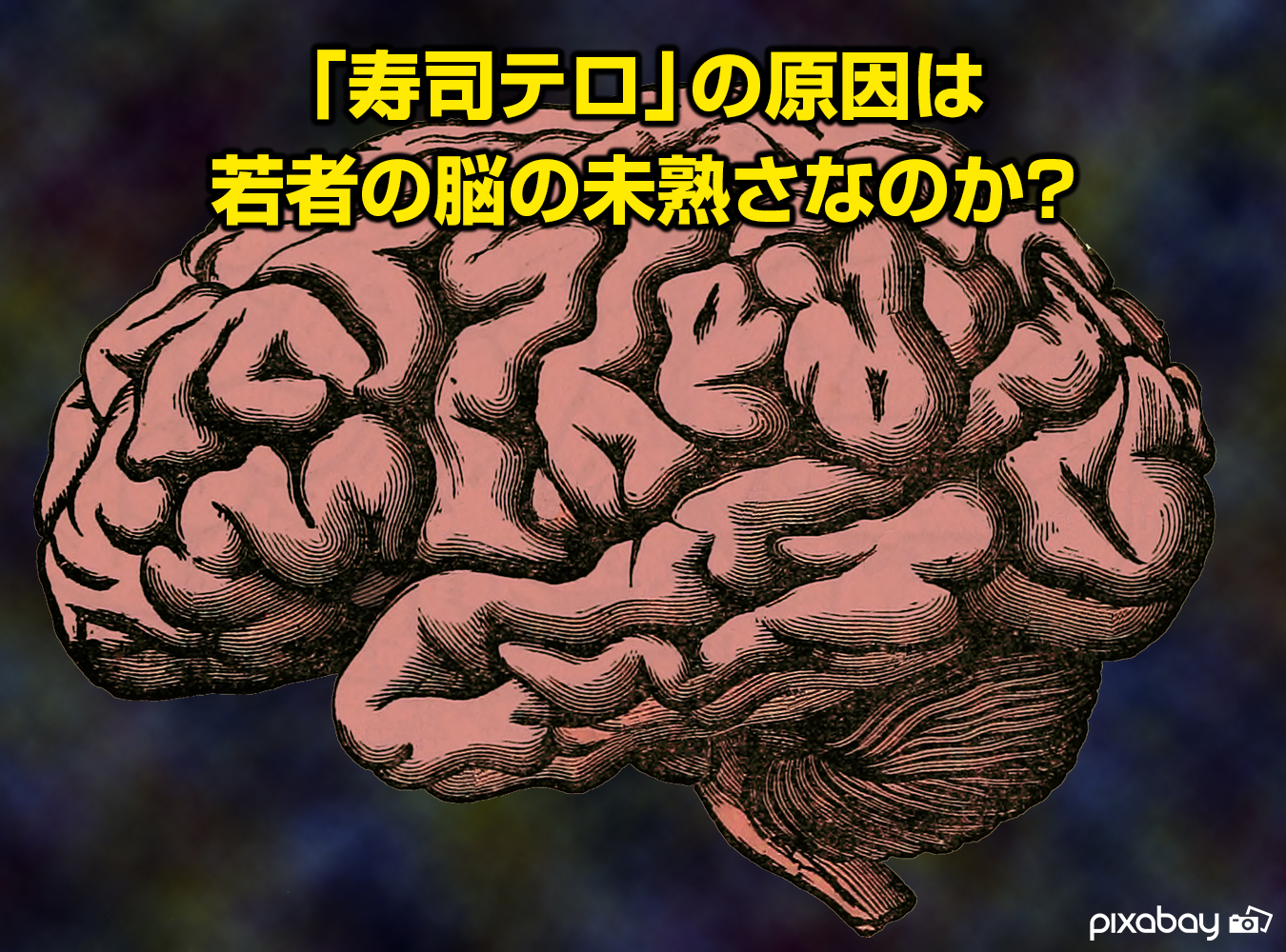 「寿司テロ」の原因は若者の脳の未熟さなのか？