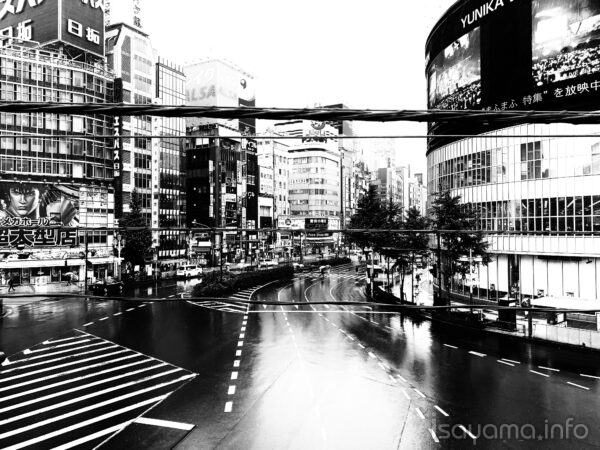しとしとと記憶の雨が濡らす途（みち） 悔いが交差し標（しるべ）はいずこ