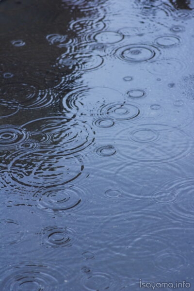 雨滴のつぶやき聞く聞く 波紋は空からの贈りもの