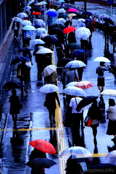 世間に染まりしあなたの傘の色 雨に打たれて色を失う