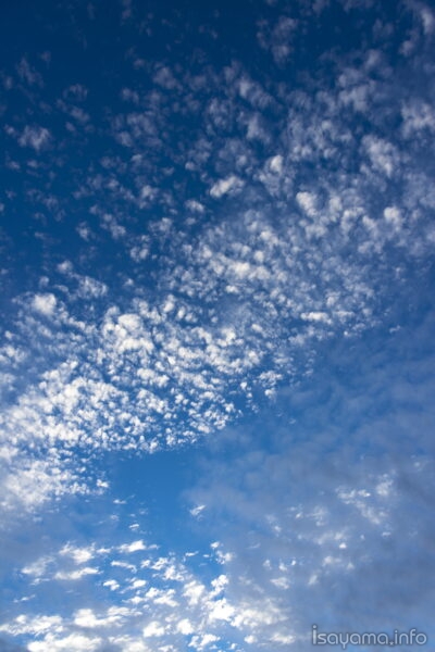 残暑でも秋の気配のうろこ雲 空を見上げて和を感じたり