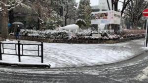 2023年2月10日、練馬の積雪-1